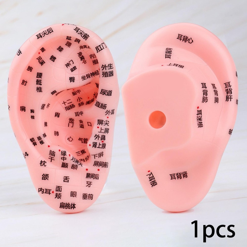 Human Ear Acupoint Model Teaching Model for Nursing Massaging Demonstration