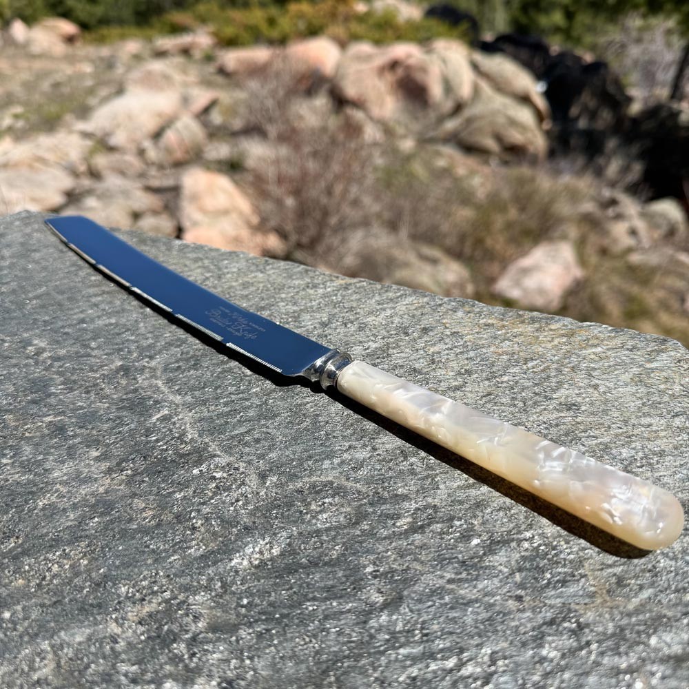 Bride’s knife cake server – Kirk's silverplate, vintage wedding keepsake, 14.5"