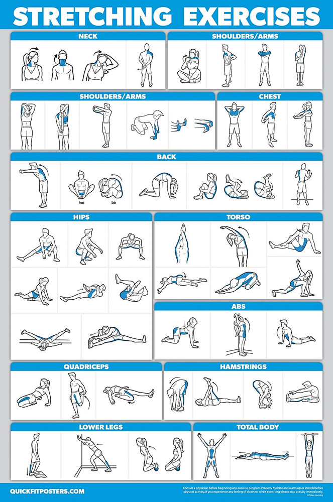 10 Pack Exercise Workout Poster Set Laminated 18" x 24"