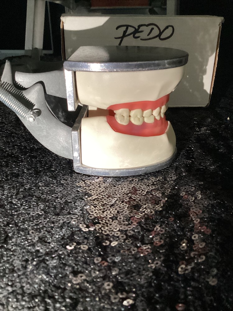 Columbia Dentoform Typodont R-7612 Dental