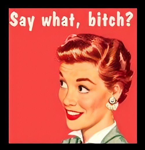 Say What B*tch? -Refrigerator Fridge MAGNET