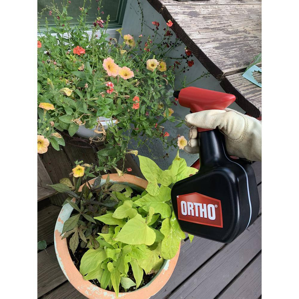Handheld AA Battery Powered Sprayer