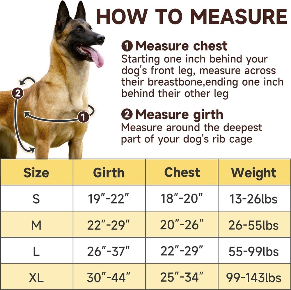 No Pull Dog Harness with Dog Leash, Easy to Control Walking Harness (Medium)