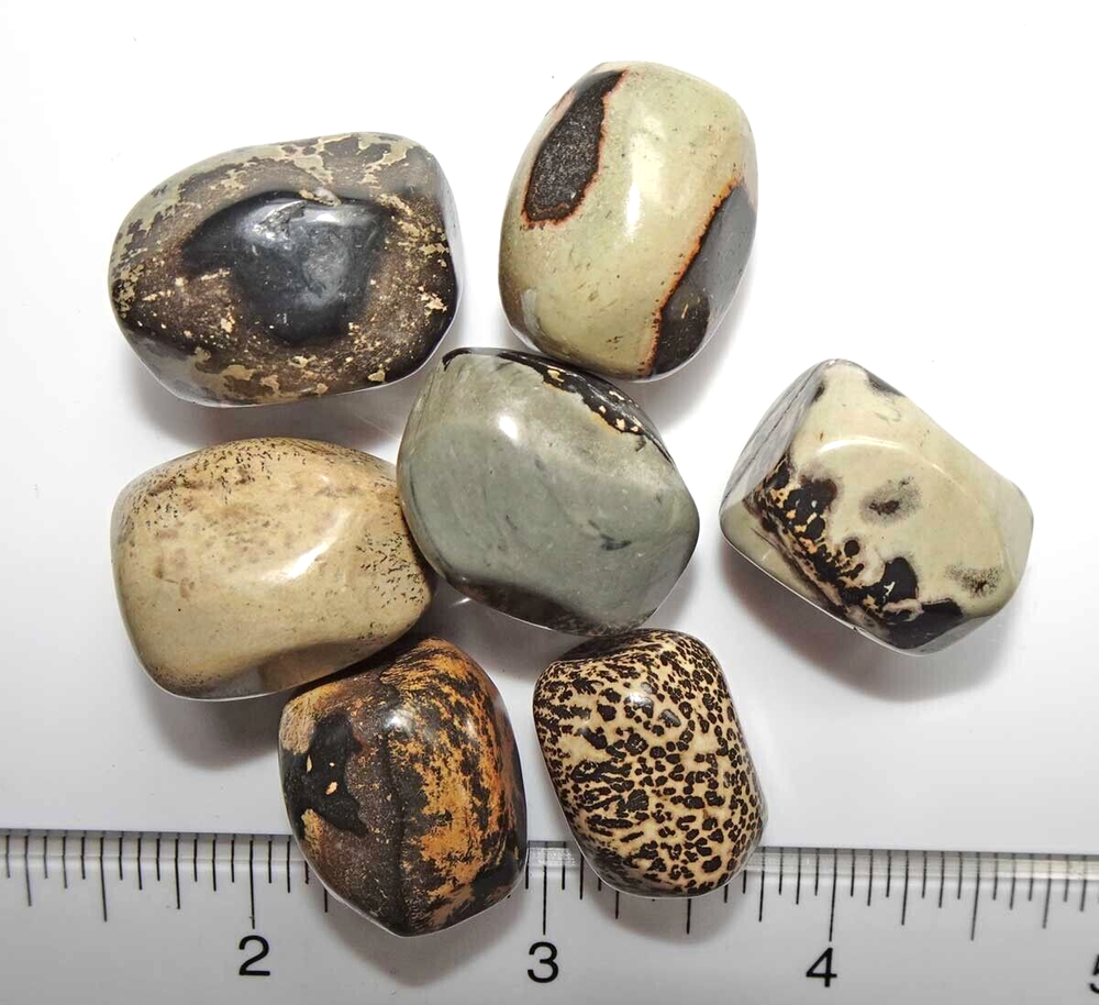 Scenic Jasper - 7 Tumbled Stones rtsjasp2