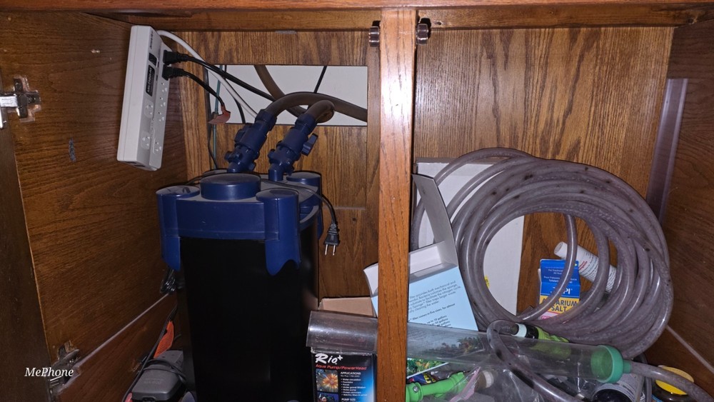 90 gallon glass set up solid oak stand with lights, canister filter, and heaters