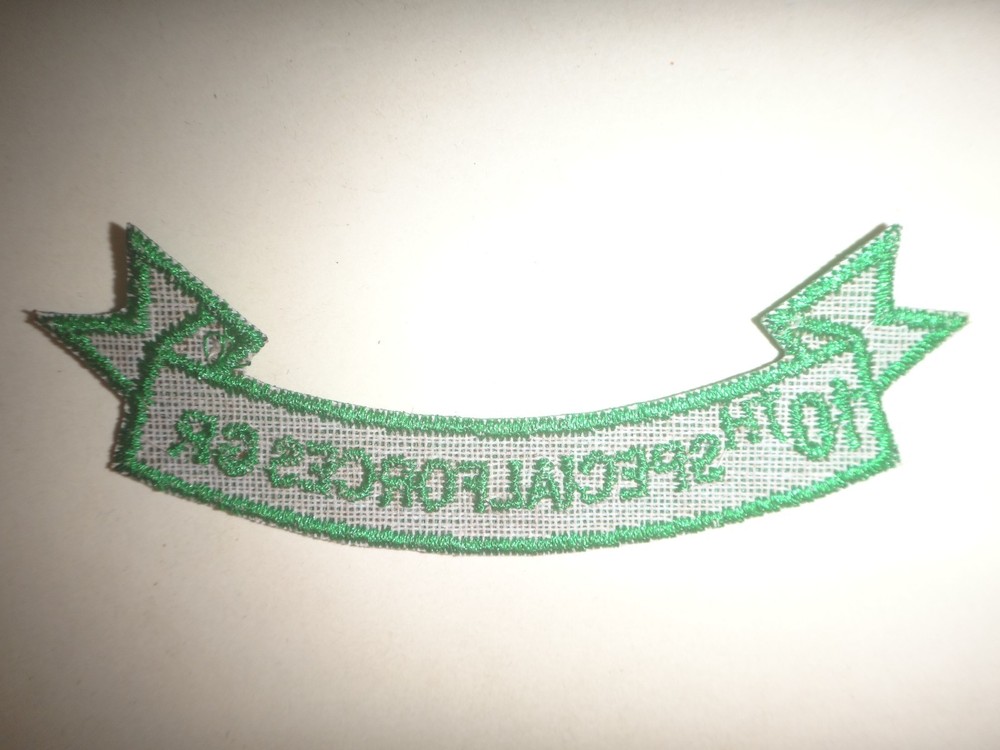 US Army 10th SPECIAL FORCES GROUP Scroll Patch
