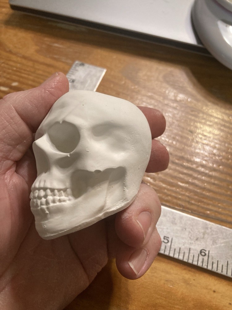 Human Skull Model Solid Plaster Small 3"x 2"x 3" Qty=3🔥🔥🔥🔥🔥🔥