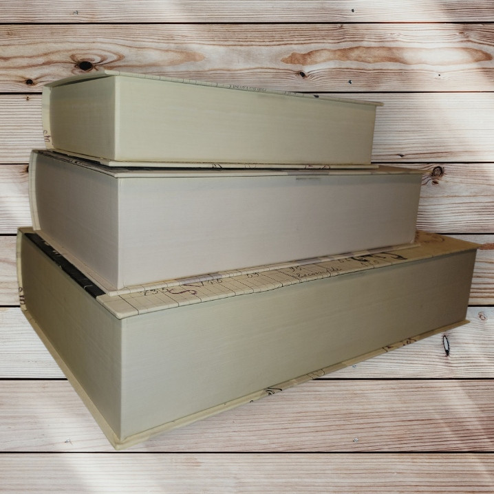 Set of 3 - Paperboard Nesting Book-Shaped Decorative Storage Hiding Boxes