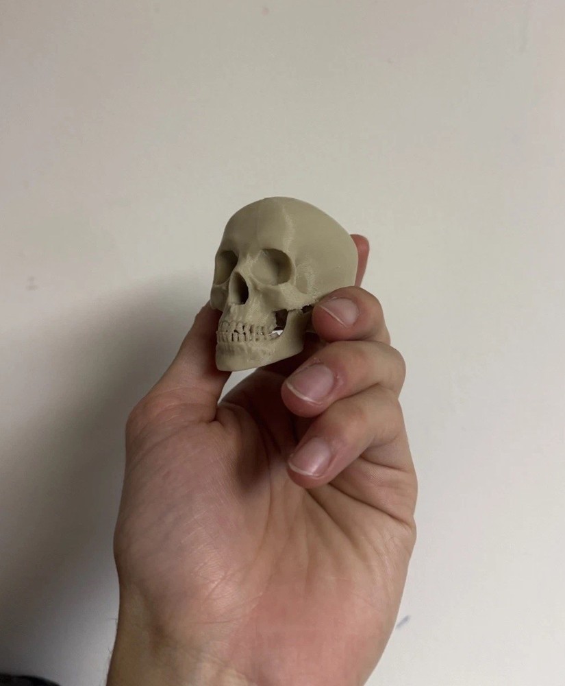 Mini Human Skull 💀 (Good Resolution) (Bone color, PLA plastic)