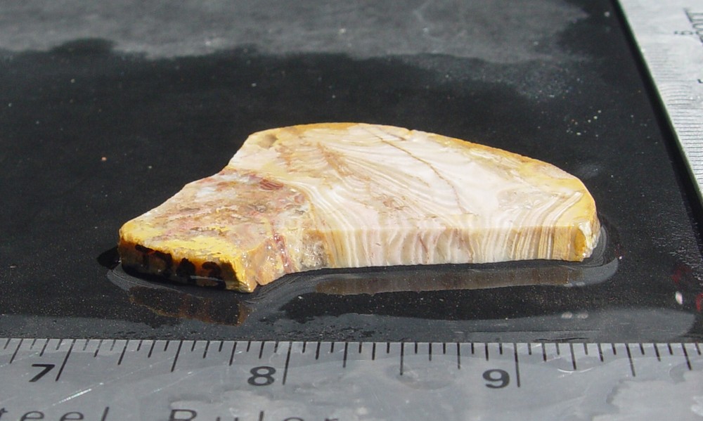 Prairie Agate Lapidary Slab T743