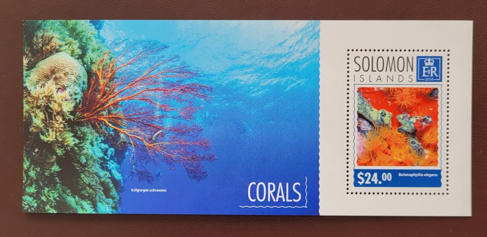 Solomon Island 2014 /   Marine Life - Corals / 1v ms