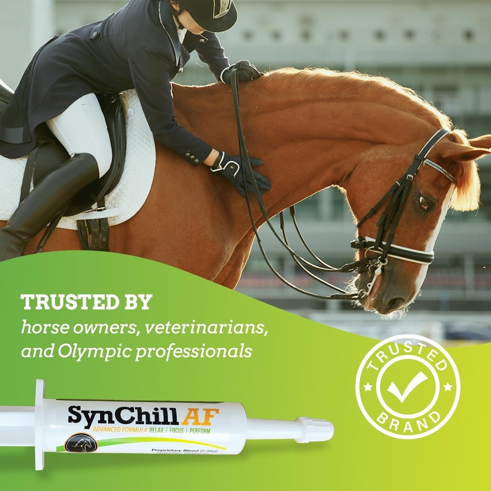SynChill AF Confidence and Composure Support Gel for Horses – 2 Pack – Advanc...