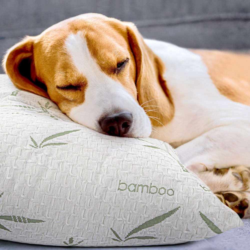 Bamboo Pillow Covers, Waterproof Protector For Allergies, Queen, White