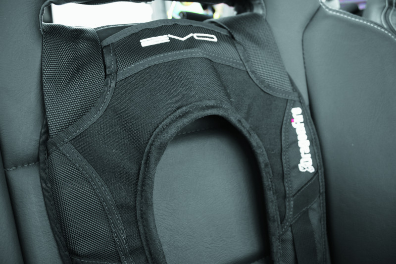 DragonFire Racing Harness Evo- Black | 520761