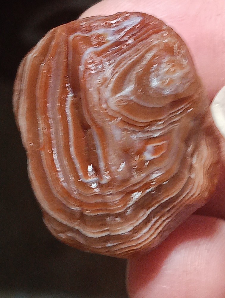 Lake Superior Agate, Solid Banding .92oz
