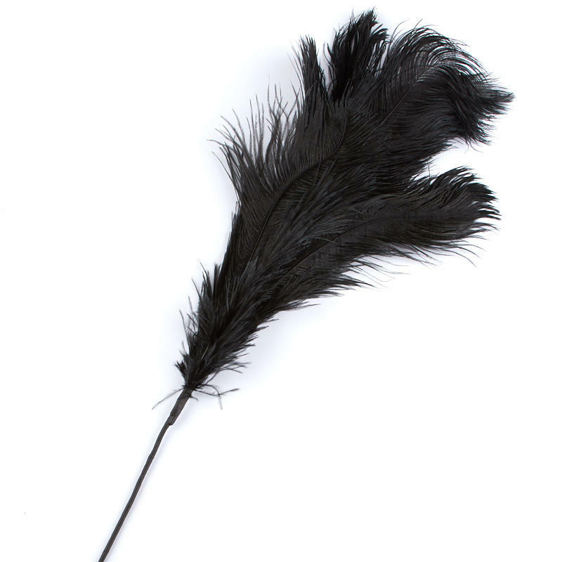 Factory Direct Craft Colorful Black Feather Top Accenting Spray