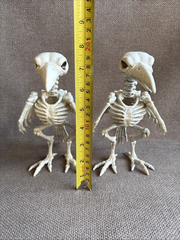 Two Halloween Crow Skeleton Tabletop Bird Bones Decoration