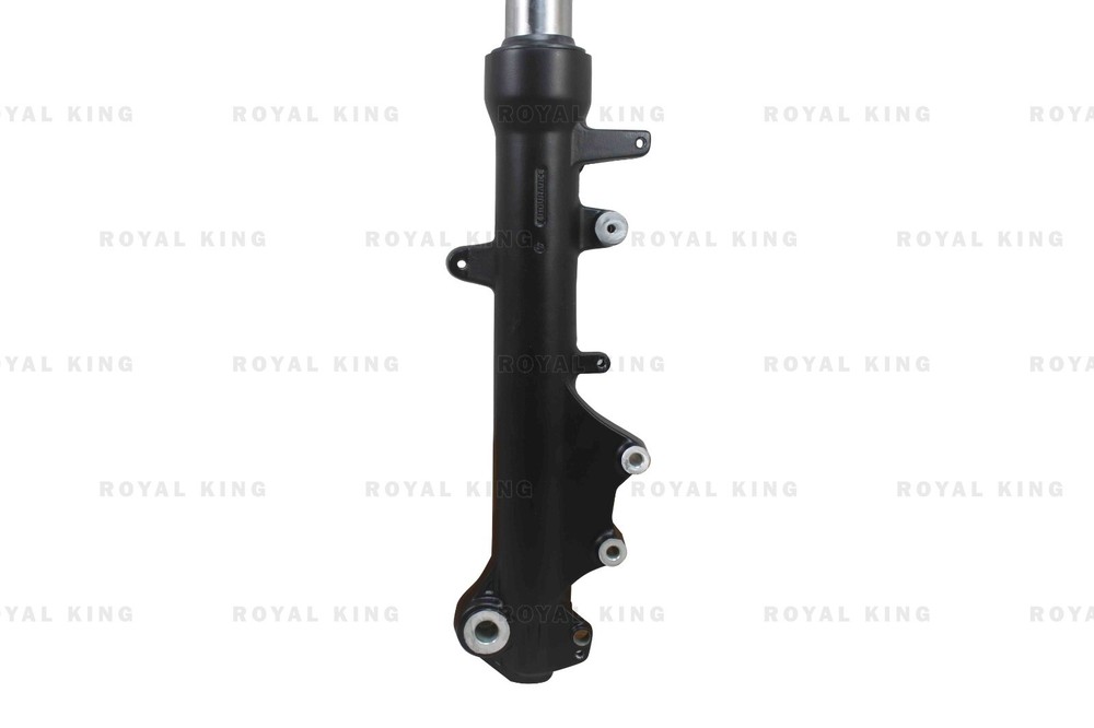 Front Fork Damper Assembly "Right Side Fit For Suzuki V-Strom SX 250"