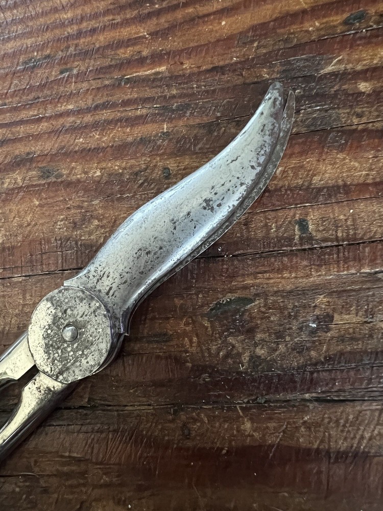 Vintage Ornate Sterling Silver Grape Shears Scissors