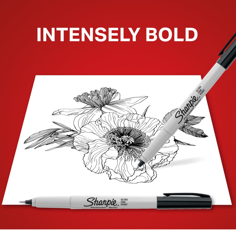 Sharpie 37161PP Permanent Markers, Ultra Fine Point, Black, 2 Count