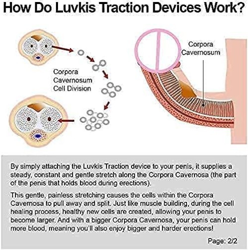 Adjustable White Penile Traction Device: Wearable Enlargement Training Kit