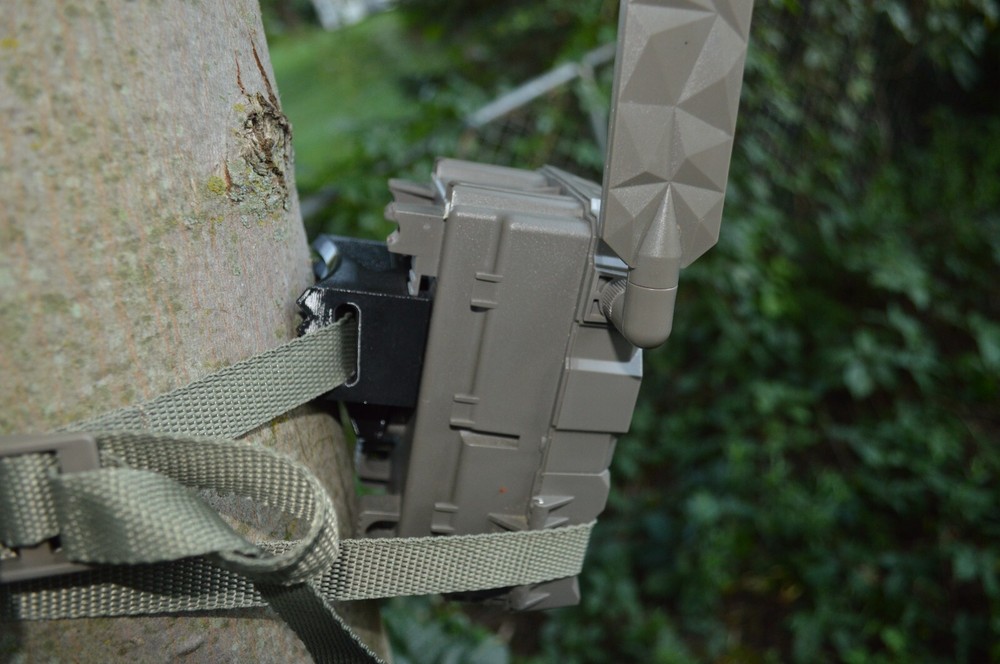 REVISED Tactacam Reveal X Angled Tree mount