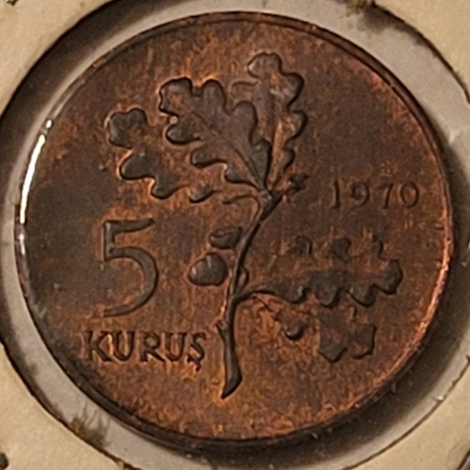 Turkey 1970 5 Kurus Coin