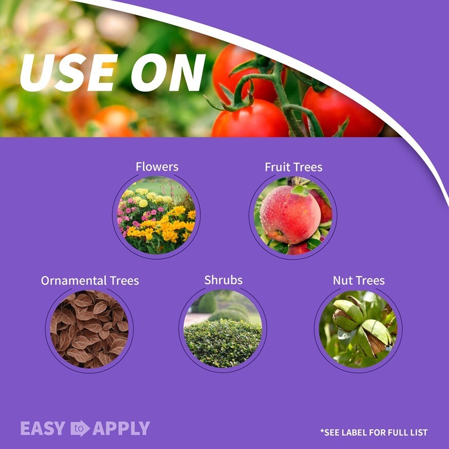 Bonide 2021 Fruit Tree & Plant Guard PT Conc Tree Shrub Insect Disease Control