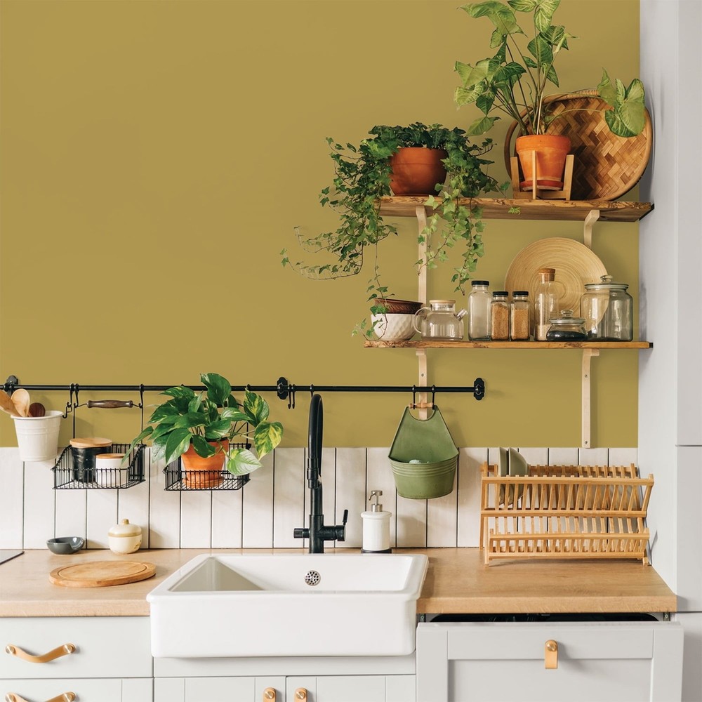Glidden Fundamentals Interior Paint Obsession / Yellow, Eggshell, 1 Gallon