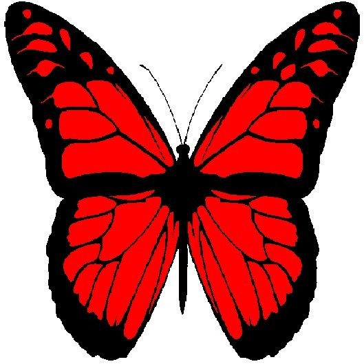 30 Custom Red Monarch Butterfly Personalized Address Labels