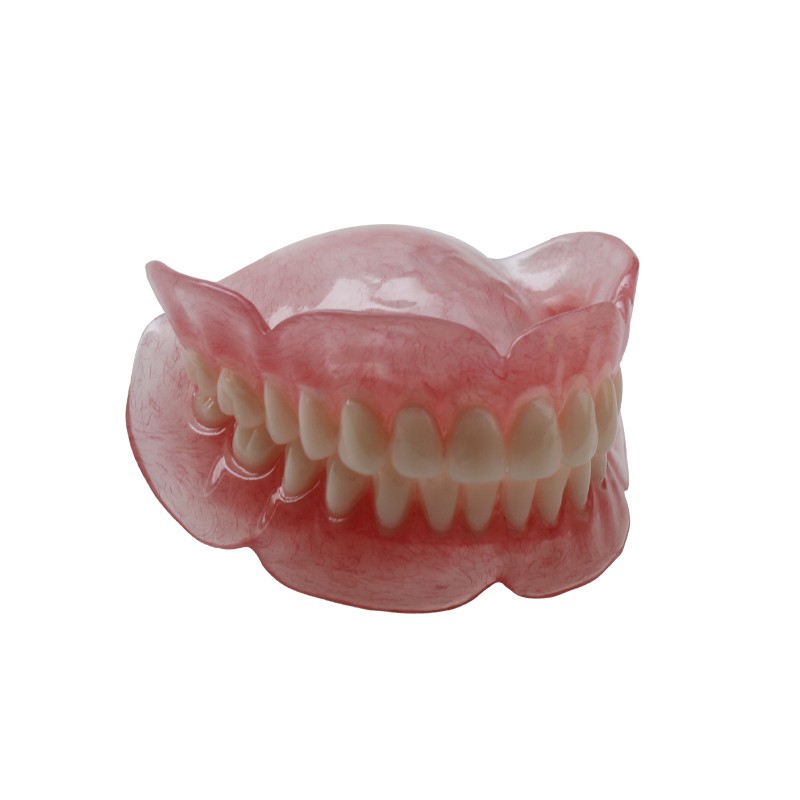 Denture Model for Dental Practice High Quality Lab Training Tool Customizable