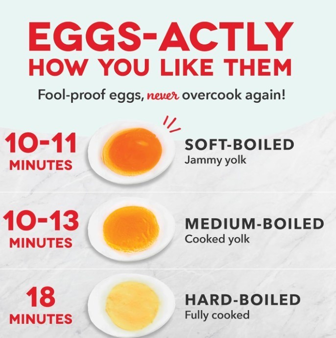 Dash Rapid Egg Cooker: 6 Egg Capacity Electric Egg Cooker for Hard Boiled Eggs
