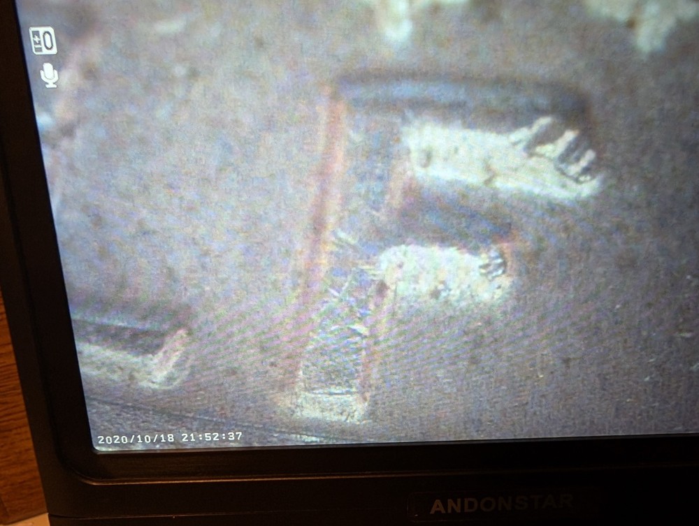 1984 D Half Dollar With Double Die Errors