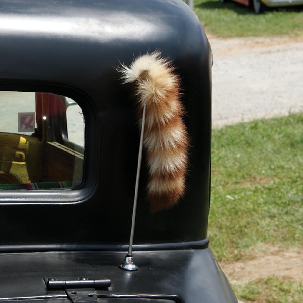 Raccoon Tail