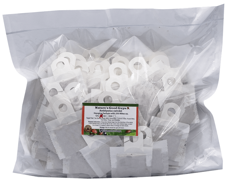 Slow Release Sachet - Amblyseius Swirskii - Predatory Spider Mite Control