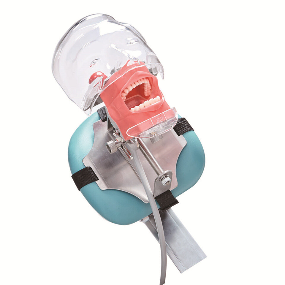 Dental Manikin Phantom Head Model Training Simulator Installed on Chair Headrest