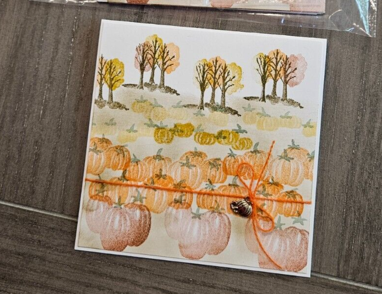 STAMPIN UP CARD KIT - PUMPKIN PATCH Makes 4-Set #FA.141