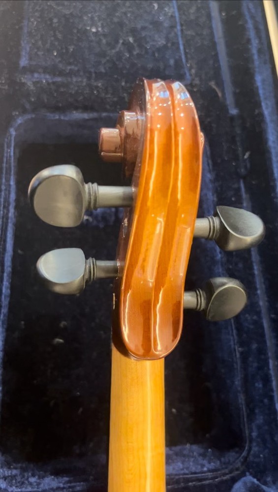 Maestro violin with two bows