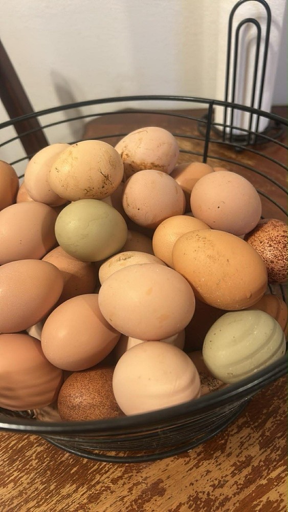 Hatching Egg Va residents Only
