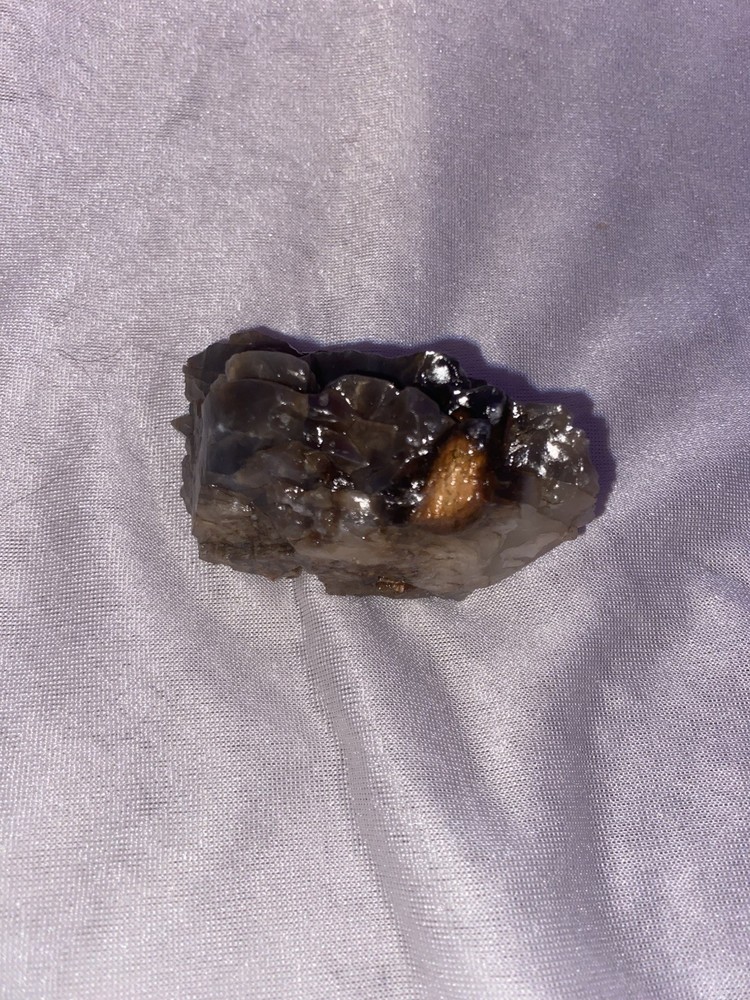 Petrified Wood