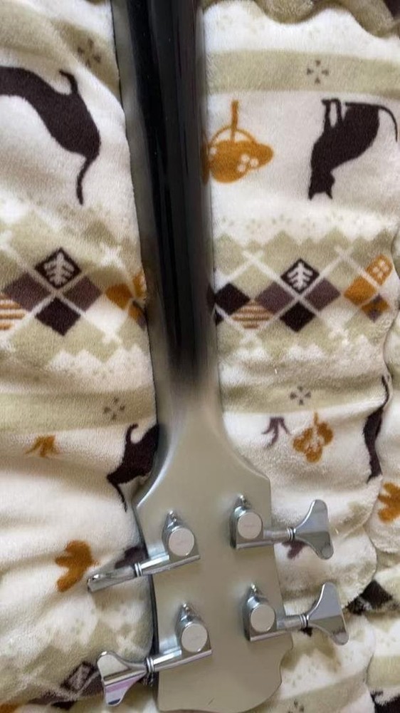 Bunny Burny Electric Bass