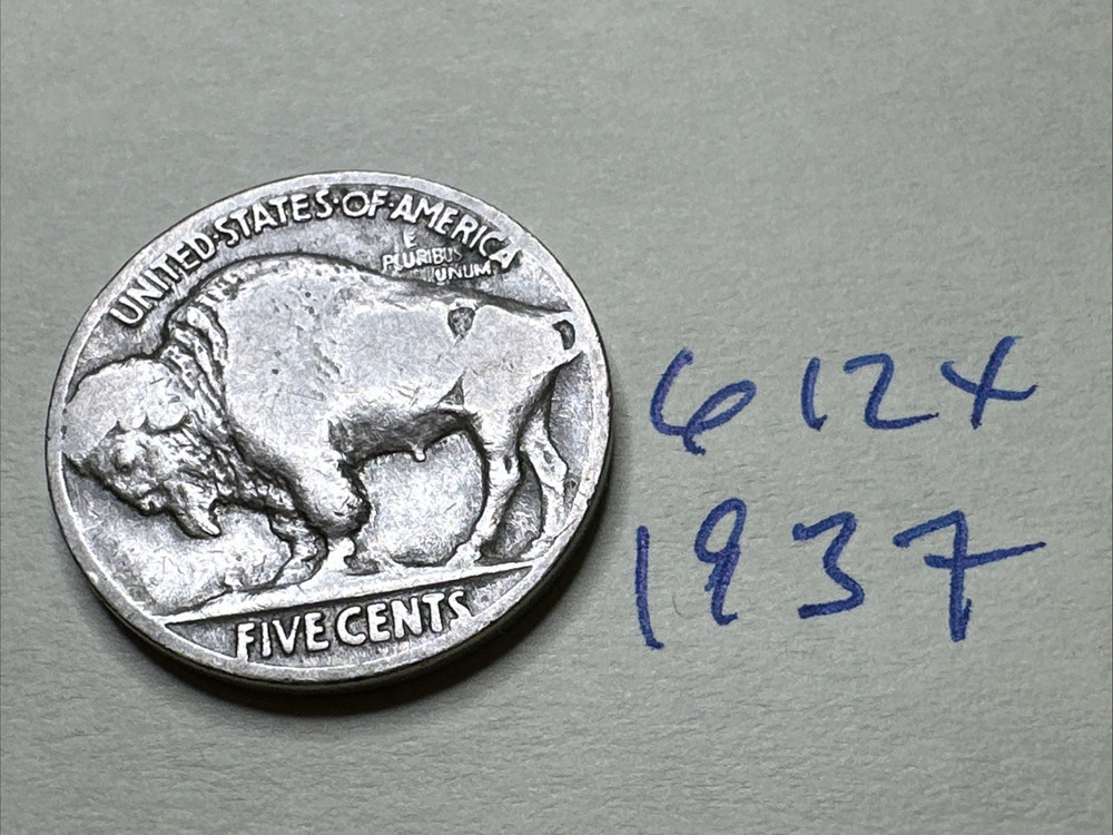 1937 5C Buffalo Nickel 612X