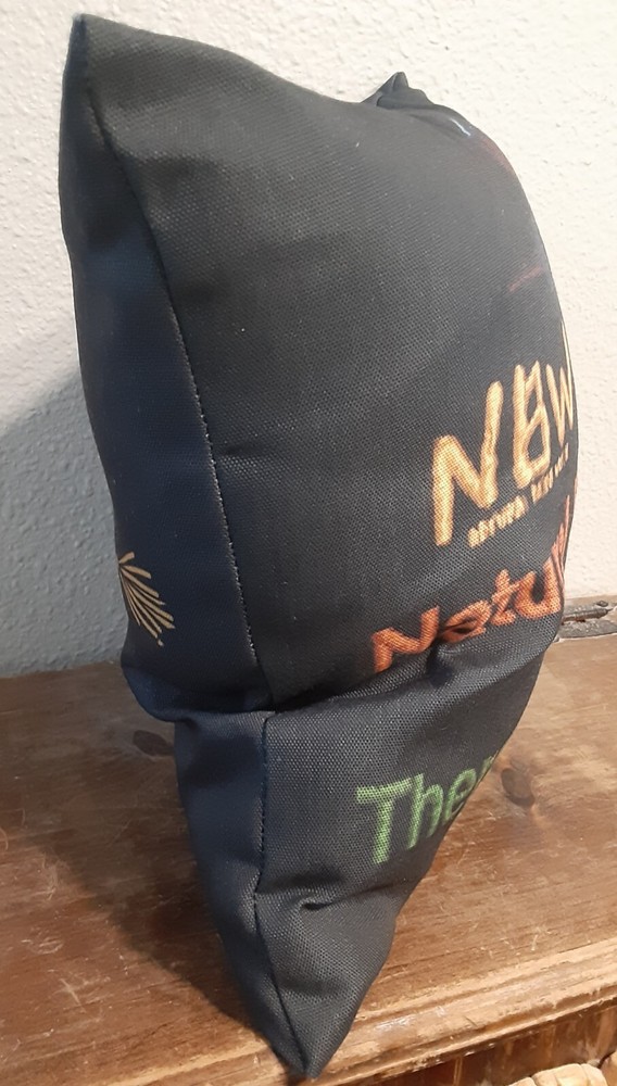 Haunted Witchcraft Magick Pillow