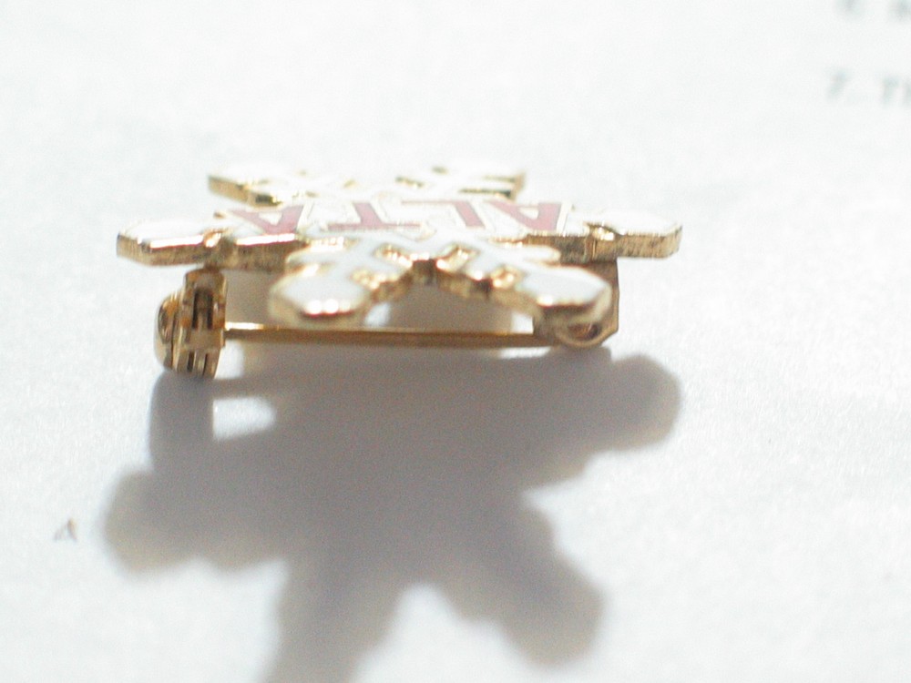 Alta Snowflake Ski Pin