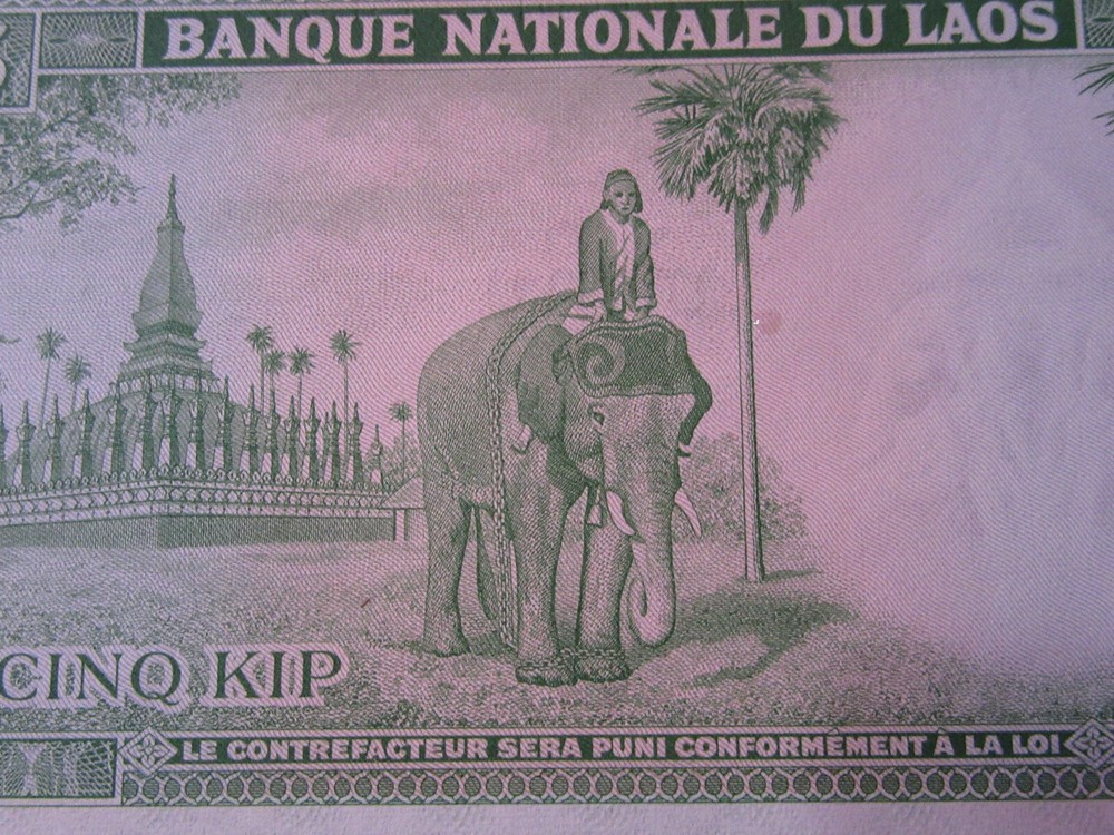 ELEPHANT banknote set 11 notes ALL NEW NOTES Burma Lao Uganda