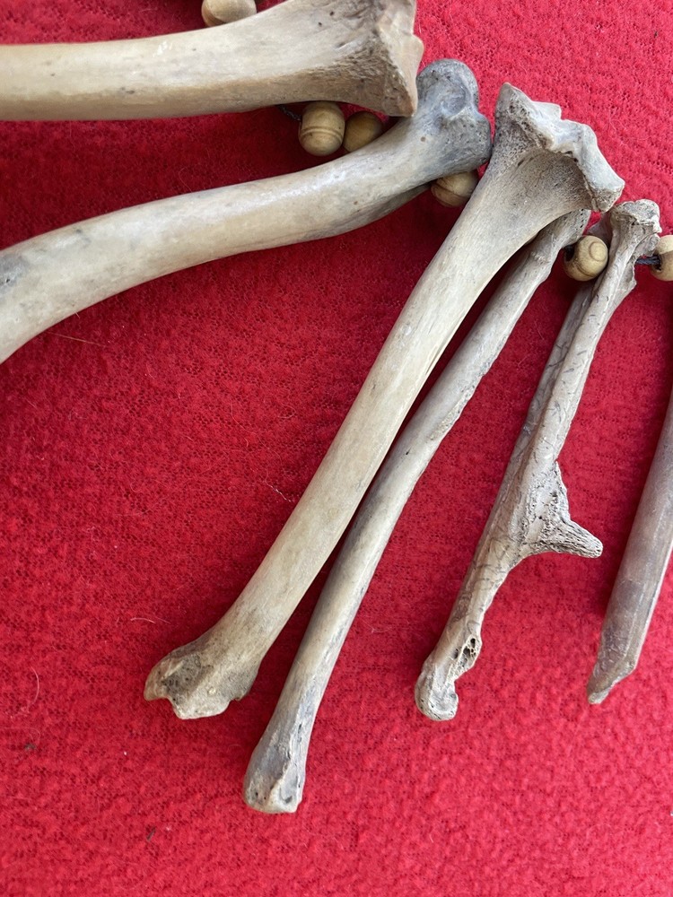 Extraordinary Old Aztec Xoloitzuintle Bone Shaman’s Necklace
