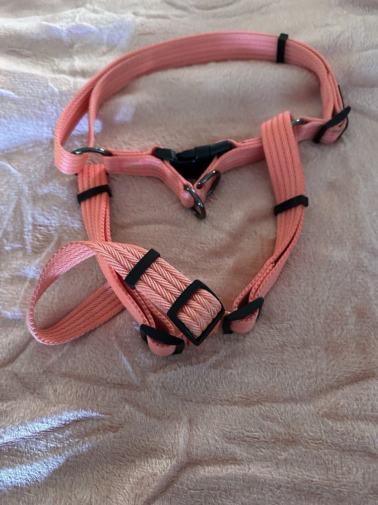 Coral Large Dog Harness