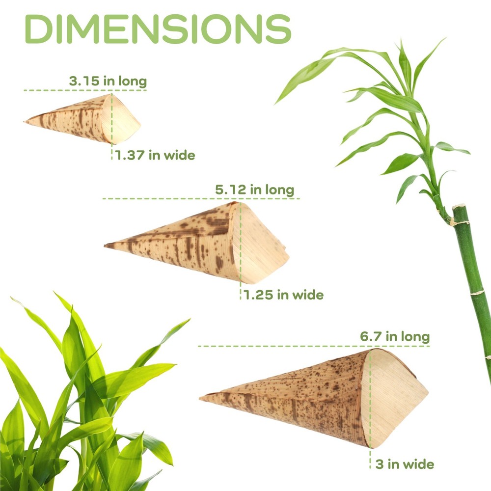 BambooMN Premium Bamboo Leaf Food Cone - Multiple Sizes & Quantity Available