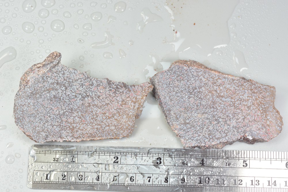 Agatized Dinosaur Bone Rough Utah 98 grams
