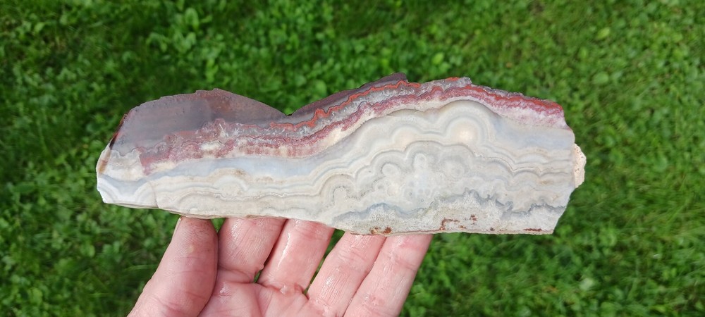 Lace Agate, slab, old stock